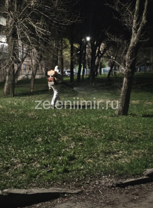 Borba-s-nasekomymi&nbsp;